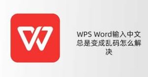 WPS-13