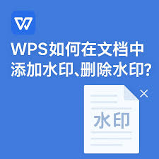 WPS-24